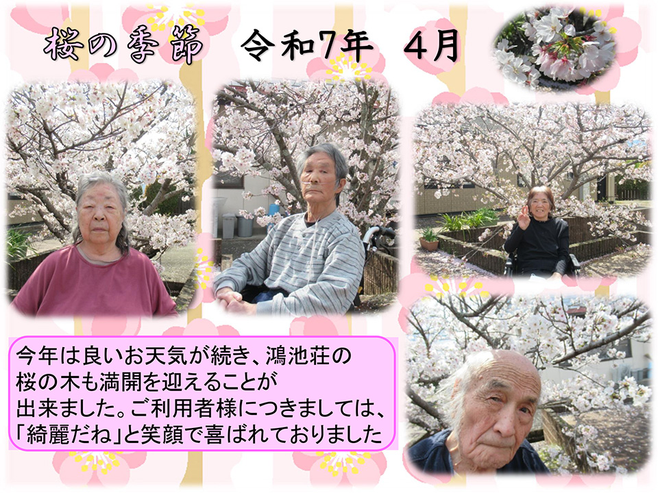 桜の季節〜令和7年4月〜